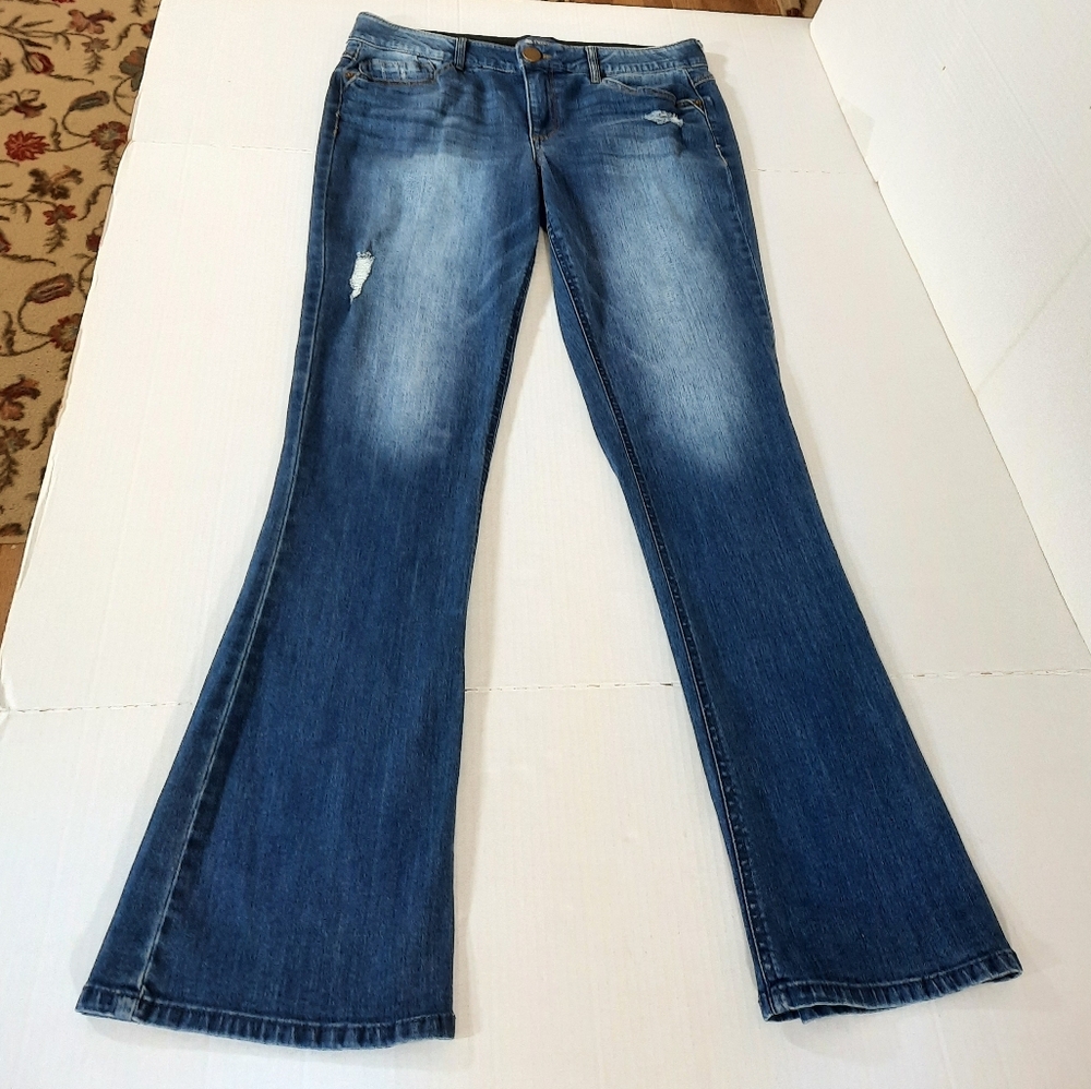 Democracy "Ab" Solution Distressed Itty Bitty Boo… - image 1